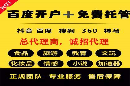 专业SEM运营托管服务案例分析